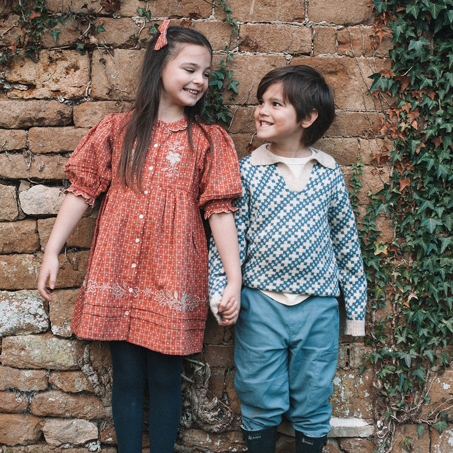 Lali :: Ivy Dress Auburn Yarn Dye With Embroidery