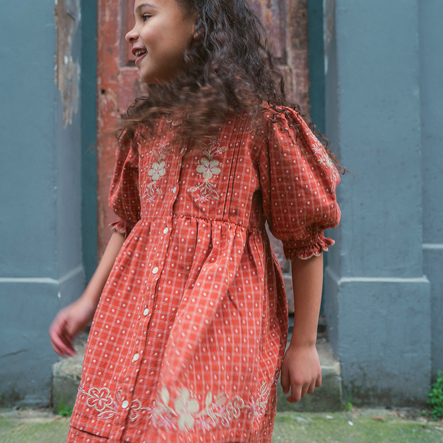 Lali :: Ivy Dress Auburn Yarn Dye With Embroidery