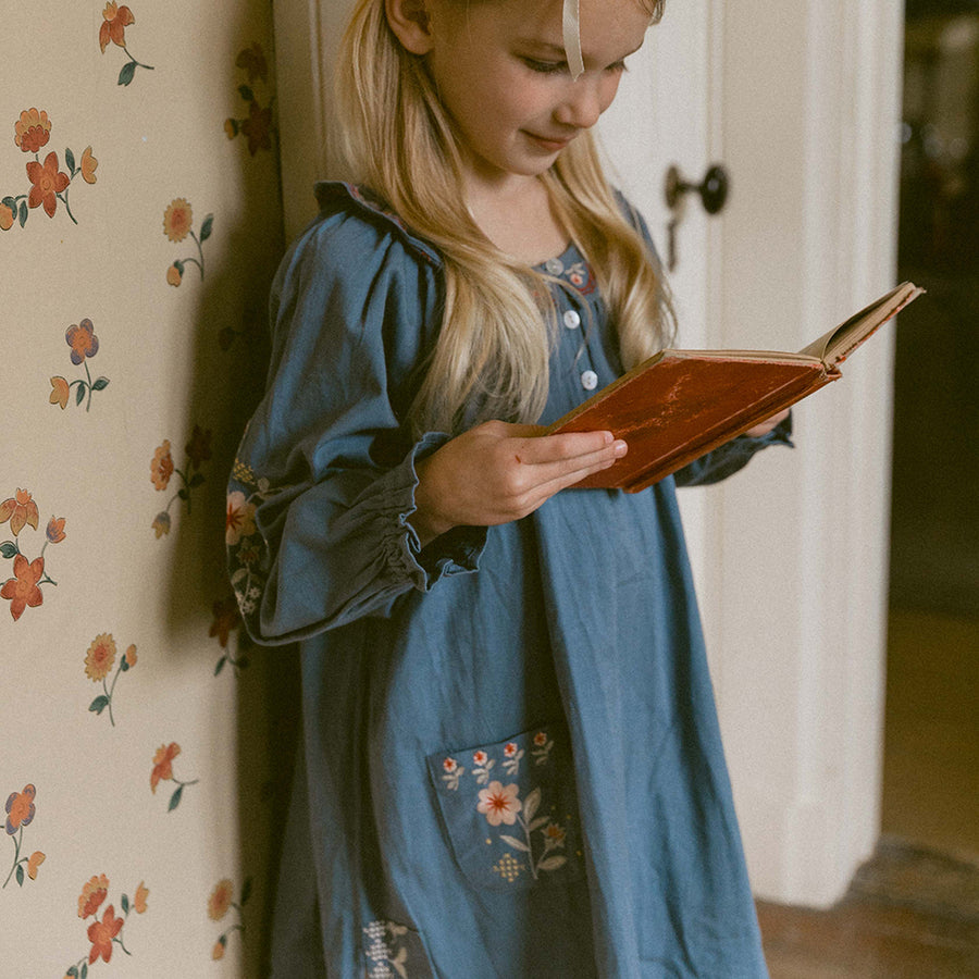 Lali :: Shift Dress Blue Embroidery
