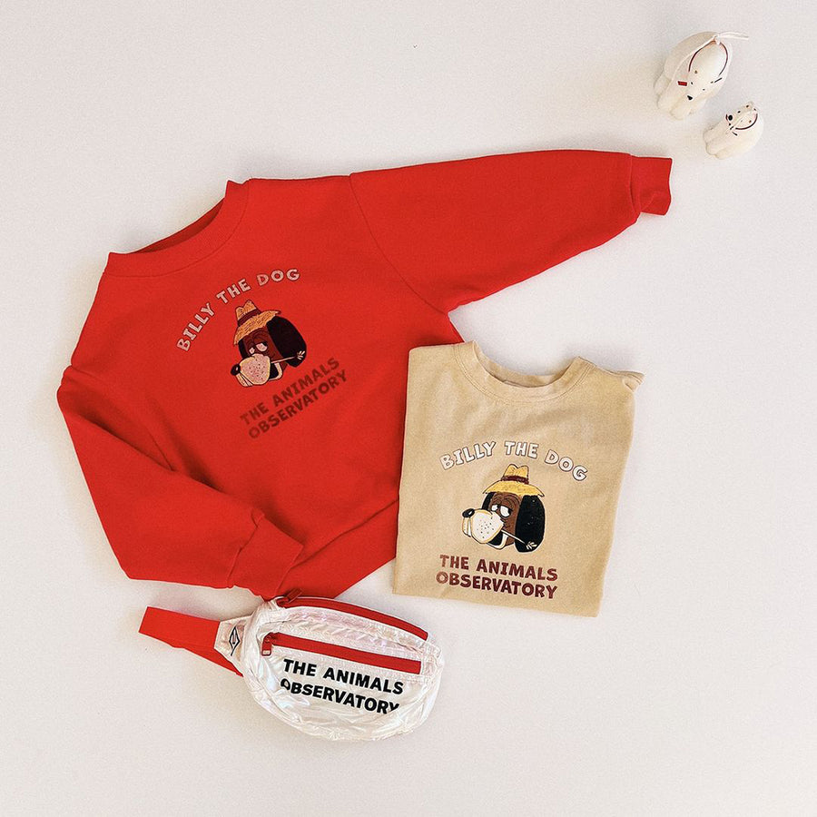 The Animals Observatory :: Bear Kids Sweatshirt Red Billy The Dog