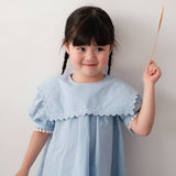 Mes Kids Des Fleurs :: Navy Collar Dress Blue