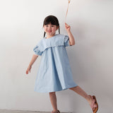 Mes Kids Des Fleurs :: Navy Collar Dress Blue