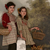 Bonjour Diary :: Apron Dress Tapestry Khaki Stripe Print