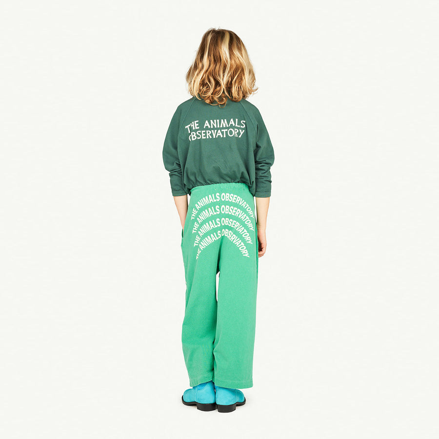 The Animals Observatory :: Anteater Kids T-Shirt Dark Green