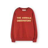 The Animals Observatory :: Leo Kids Sweatshirt Maroon