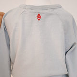 The Animals Observatory :: Anteater Kid Long Sleeve T-Shirt Light Blue