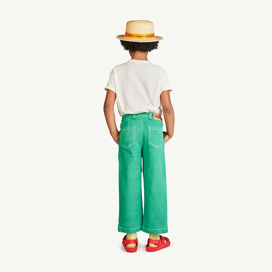 The Animals Observatory :: Ant Pants Green