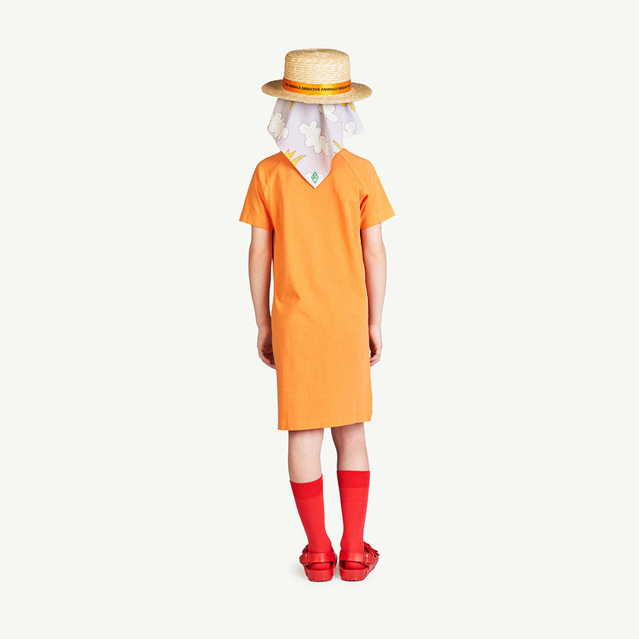 The Animals Observatory :: Straw Orange Hat
